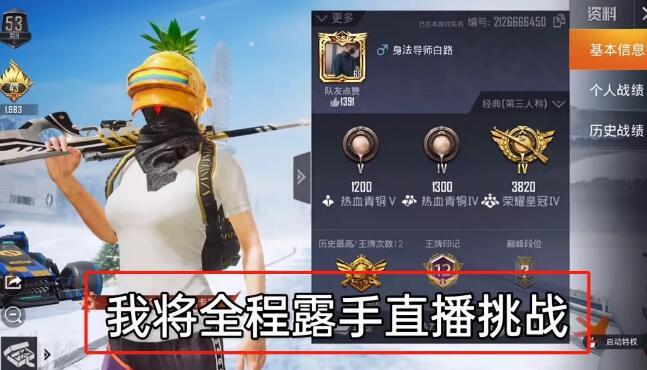 和平精英【德尔塔】模拟器辅助