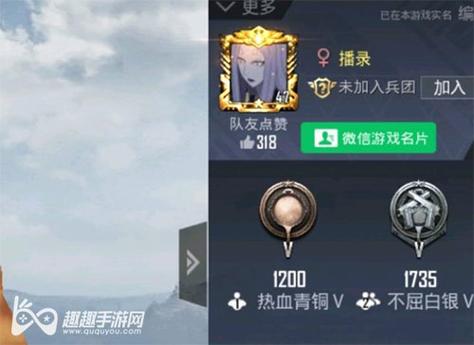 和平精英《向日葵》外挂